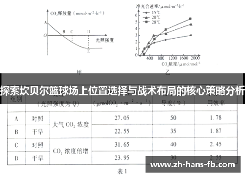 探索坎贝尔篮球场上位置选择与战术布局的核心策略分析
