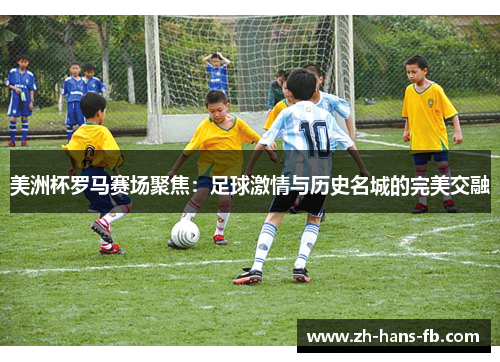 美洲杯罗马赛场聚焦：足球激情与历史名城的完美交融