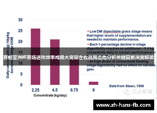赛前亚洲杯赛场进攻效率成最大变量左右战局走向分析关键因素深度解读