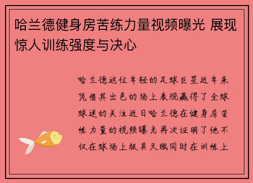 哈兰德健身房苦练力量视频曝光 展现惊人训练强度与决心